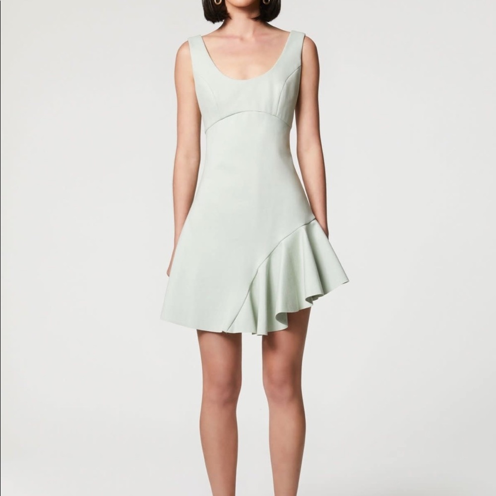 NWT ELLIATT Crown Dress